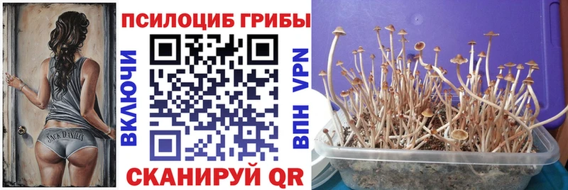 Галлюциногенные грибы GOLDEN TEACHER  Балаково 